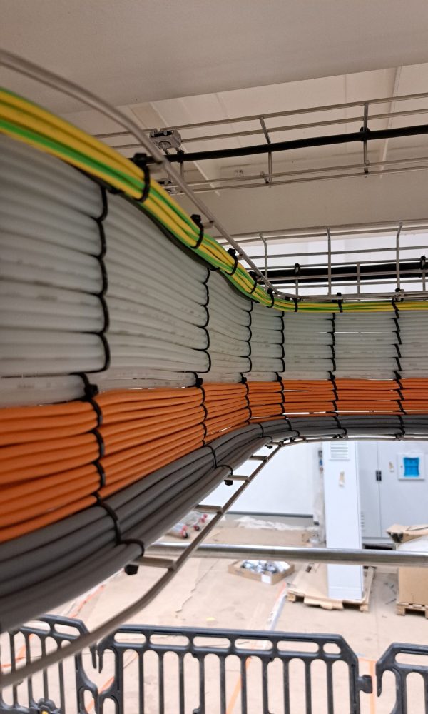 Przewody w korycie siatkowym